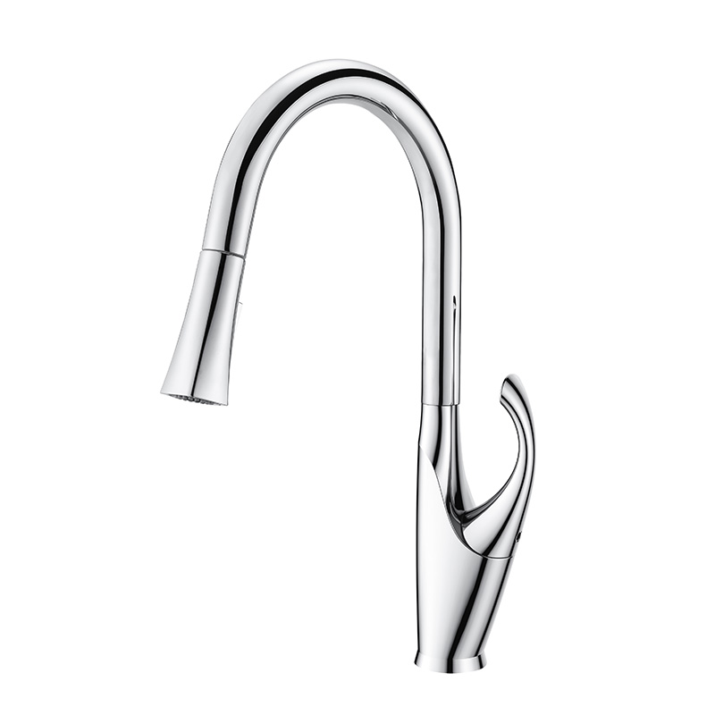 OUBAO Chrome Kitchen Faucet Best Single Lever With Sprayer
