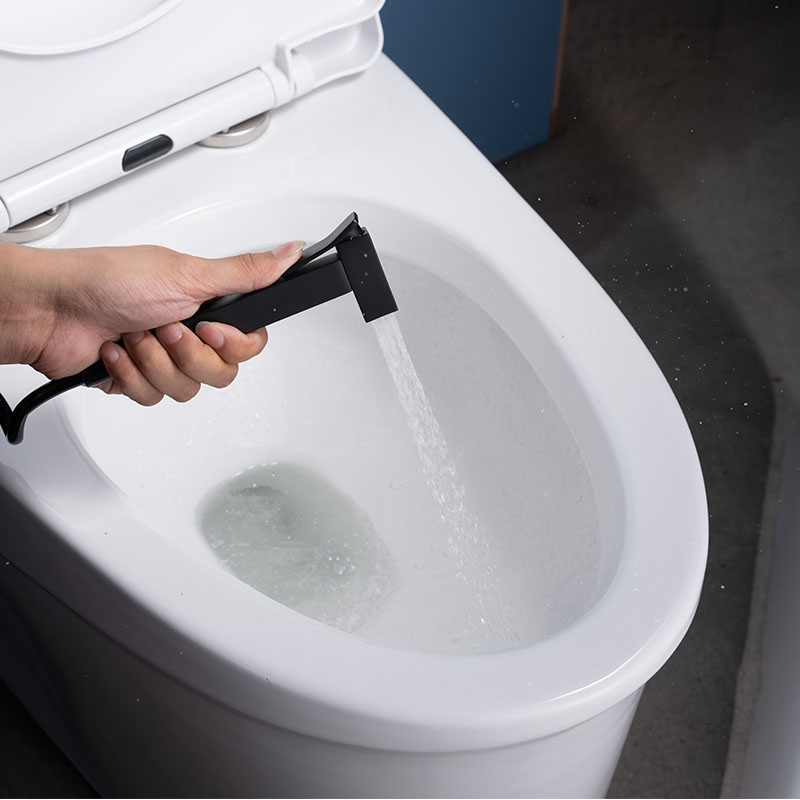 Handheld Bidet Sprayer for Toilets Hygienic One-Hand Bidet Set Kit